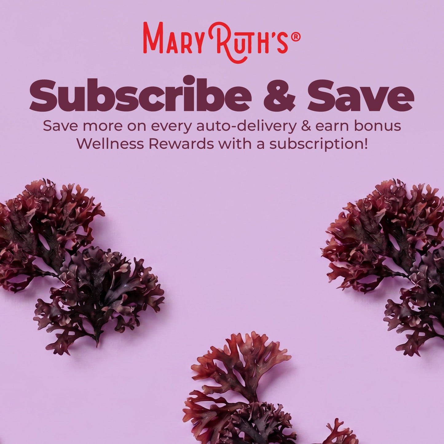 Organic Sea Moss Liquid Drops