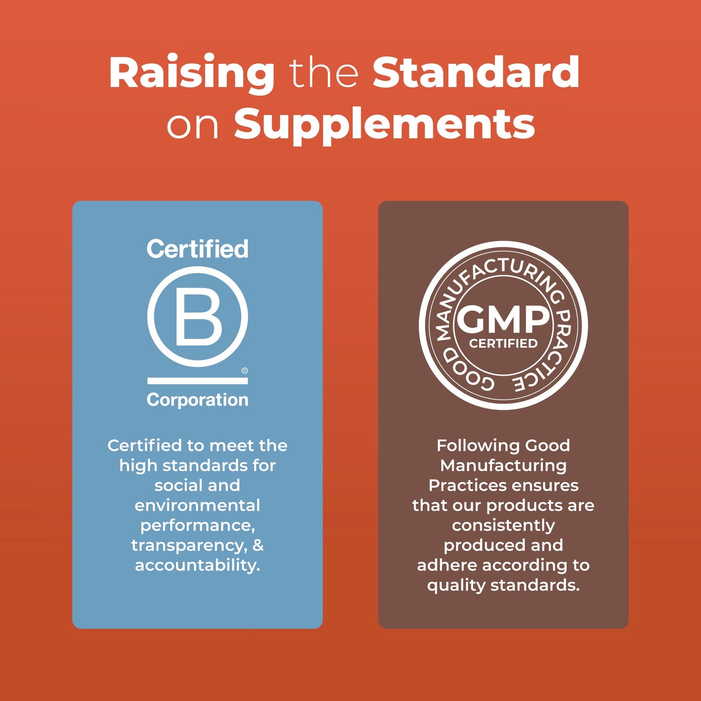 Turkey Tail Mushroom Liposomal
