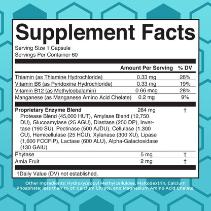 Digestive Food Enzymes