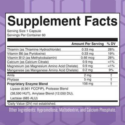 Lipase Protease Enzymes